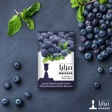 بلوبيري اكزوتيكا